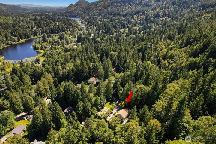 This aerial view highlights Forest Haven's unique setting within the Glenhaven community, surrounded by mature forest, nearby lakes, and miles of trails. While the property feels private and tucked away, it's also part of a neighborhood known for its access to swimming, kayaking, fishing, hiking, and outdoor recreation. This aerial view highlights Forest Haven's unique setting within the Glenhaven community, surrounded by mature forest, nearby lakes, and miles of trails. While the property feels private and tucked away, it's also part of a neighborhood known for its access to swimming, kayaking, fishing, hiking, and outdoor recreation.
