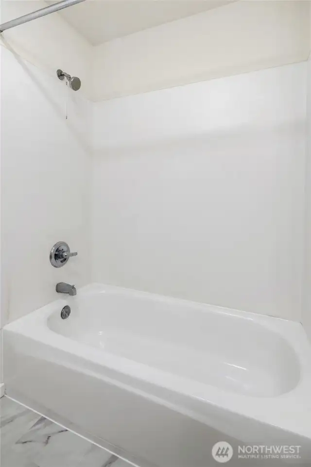 Primary Bathtub
