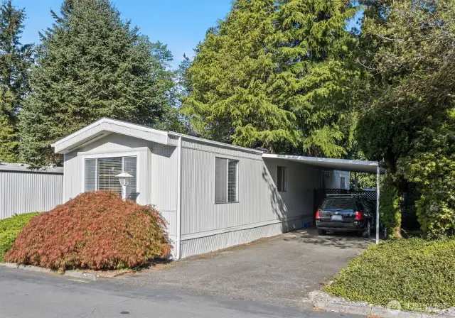2 Car tandem covered carport