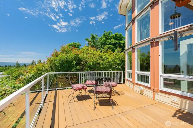 Main Level Deck