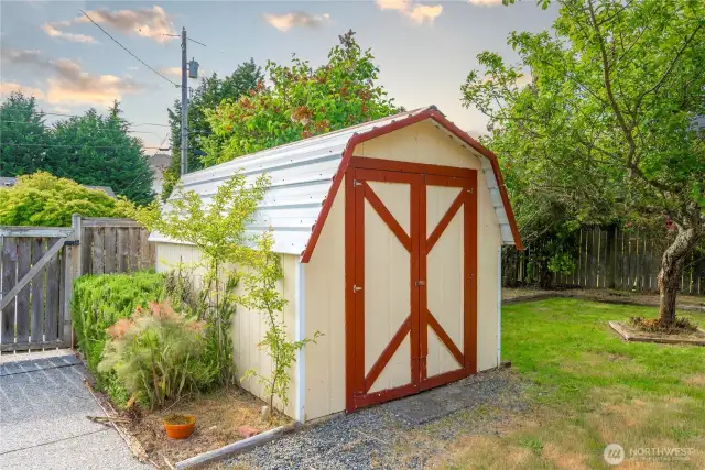 Shed in the backyard will hold all of your tools.