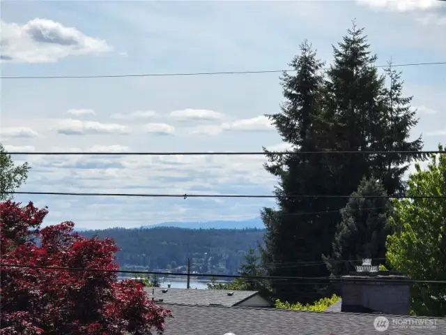 Peek-a-Boo view of water from the back deck.
