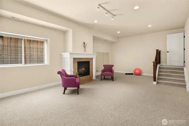 Generous flex space in the light-filled daylight basement, featuring a third gas fireplace, large storage room, and a full bath—perfect for hosting guests, entertaining or gym, or versatile living!
