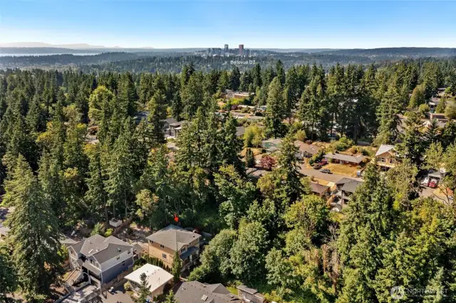Prime, peaceful location away from freeway noise, offering swift access to downtown Bellevue.
