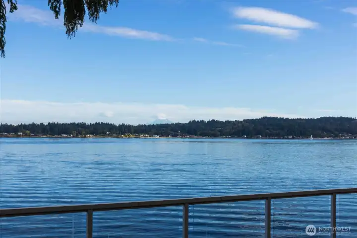 Endless views, Mt Rainier, Ferries, Orcas, Seals, it's all there for you to enjoy!