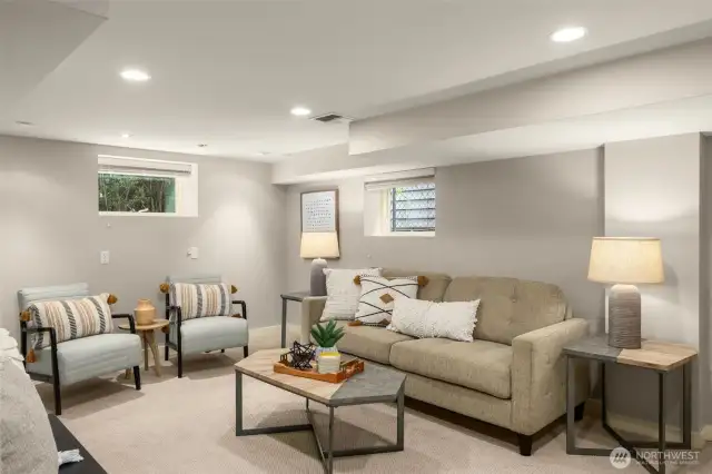 Bonus room in lower level