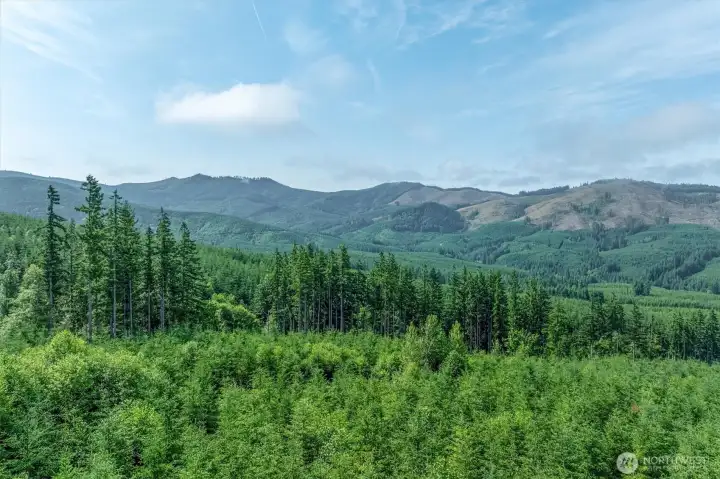View on property