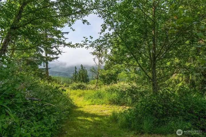 View on property