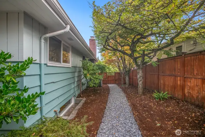 This is an extra-wide side yard with a gravel path and mature trees.