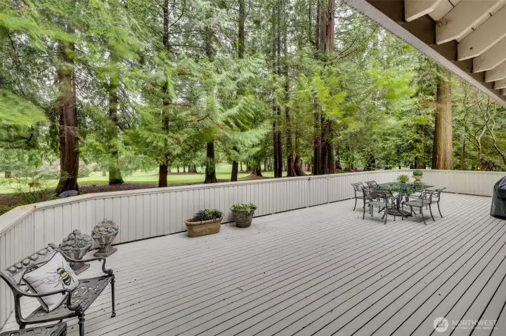 Entertainment size deck with gorgeous views!