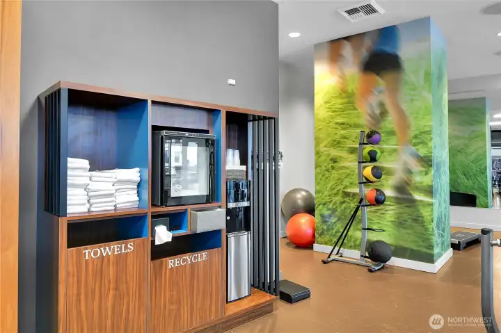 The gym is clean, light and bright and prides itself on remaining clean and immaculate.