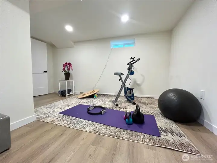bedroom 4 downstairs, could be used as exercise room