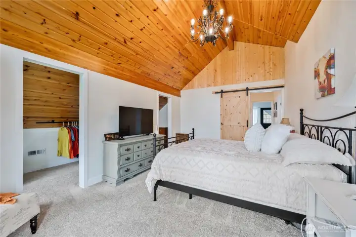 Bedroom with walk-in closet
