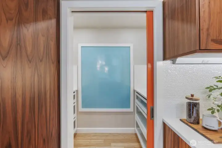 Walk-in pantry with stunning pocket door.