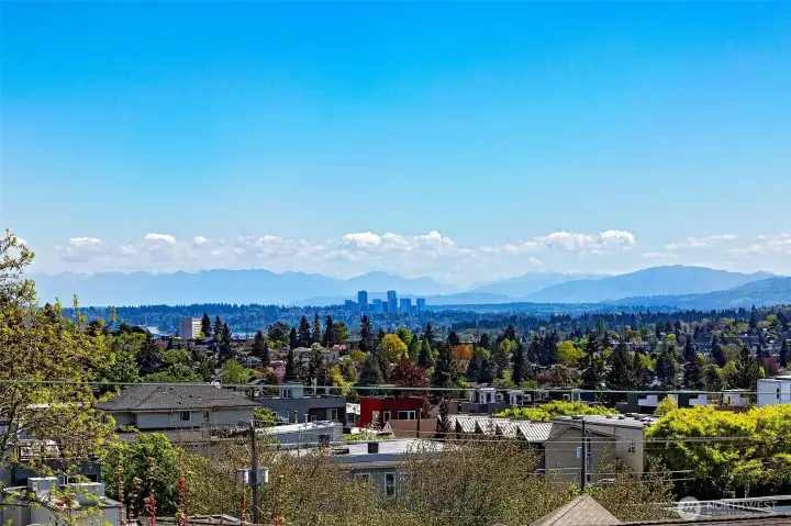 View of Bellevue