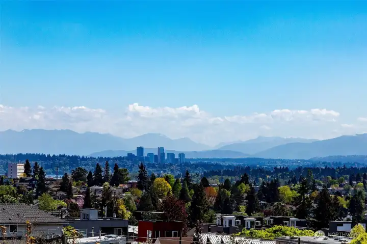 View of Bellevue