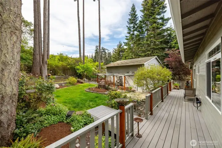 Backyard private deck Backyard private deck