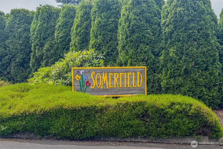 The welcoming Somerfield entrance, framed by manicured hedges and mature evergreens, sets a polished tone for this established community. It's a setting that feels both inviting and well cared for.