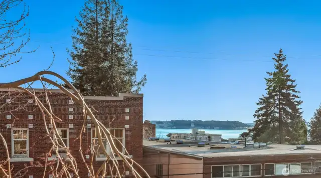 Fantastic Views from Both the Living Room and Guest Bedroom!