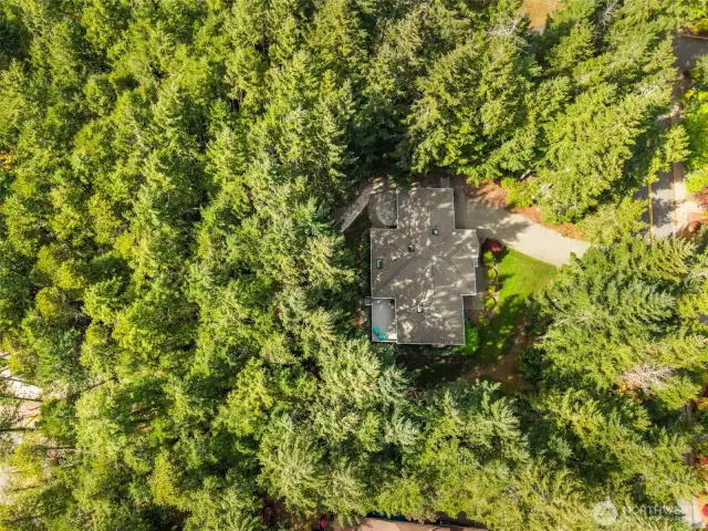 The lush forest surrounds you and gives you privacy and shade from the afternoon sun, house is eastern facing.