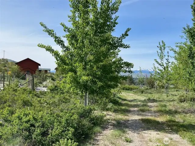 No HOA or CC&Rs—freedom to use the land as you choose. Ample space for RVs, trailers, or guest parking.
