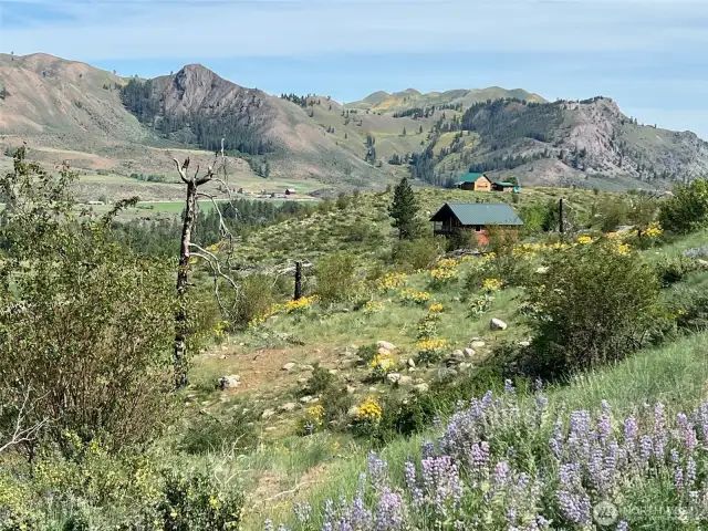 Close to Winthrop, Twisp, and outdoor recreation. And access to hiking, biking, skiing, and river fun nearby.