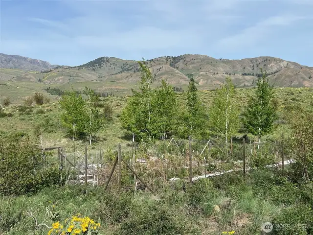 Fenced garden, misc. grape vines, and variety of fruit trees.