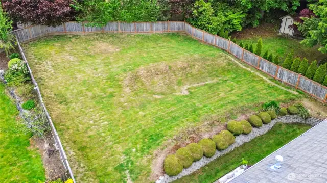 Drone View of Backyard