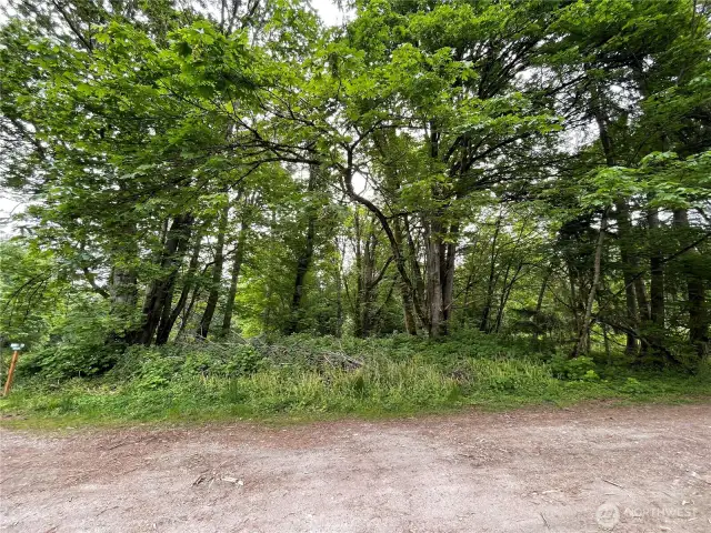 J-29