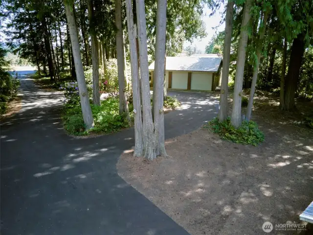 Driveway & Shop