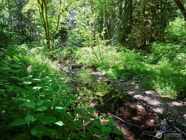 Creek Frontage