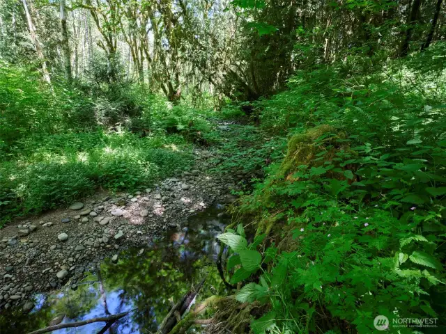 Creek Frontage