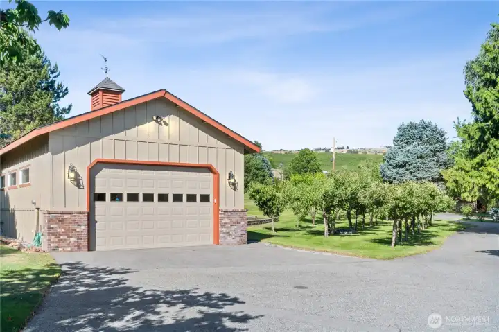 Separate Garage/Workshop with Apple trees