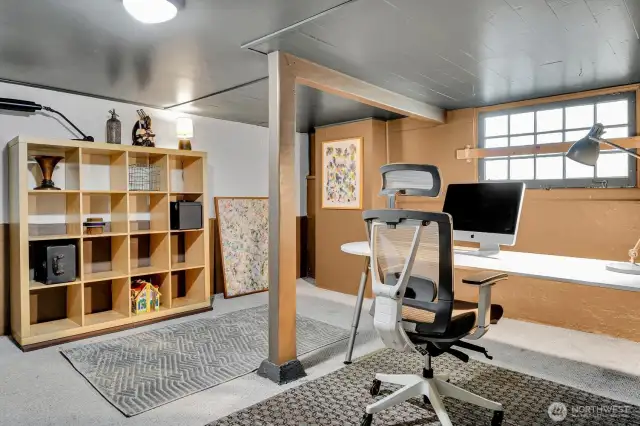 Extra finished room in the basement can be used as a play room, an office, or a guest room