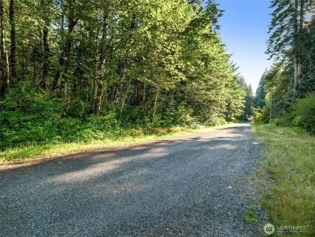 View of lot from street on north side just across from the Skykomish River