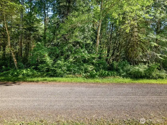 View of lot from street on north side just across from the Skykomish River