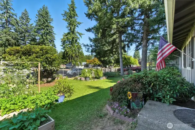 Garden planter beds in front yard