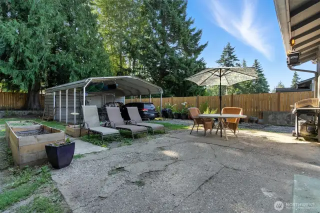 Back patio