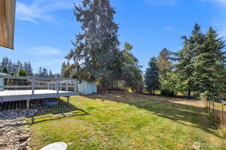 Oversized back yard