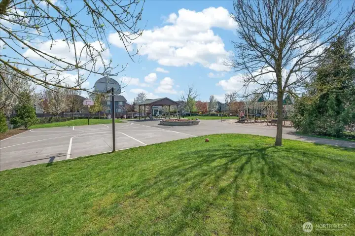 Community Park - Basketball Court