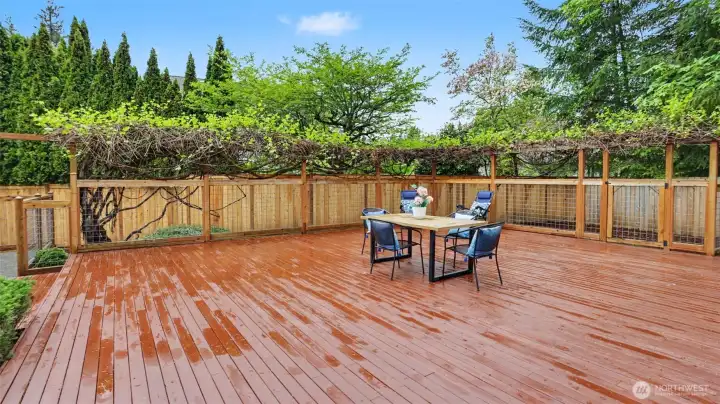 Expansive new backyard deck – perfect setting for outdoor entertaining, dining, and relaxation!