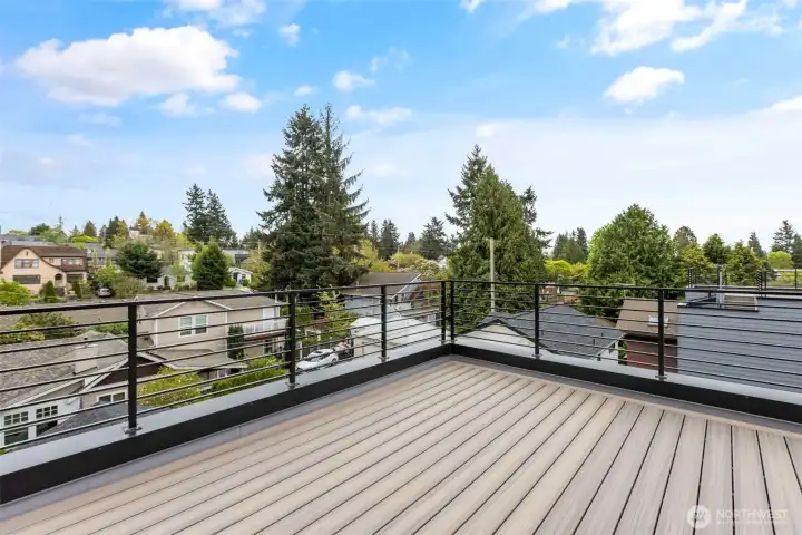 Massive rooftop deck!