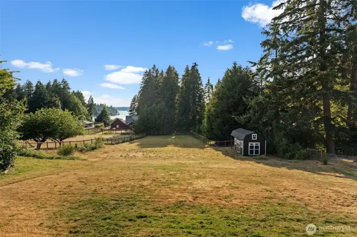 Fully Fenced yard. Over an acre to roam!
