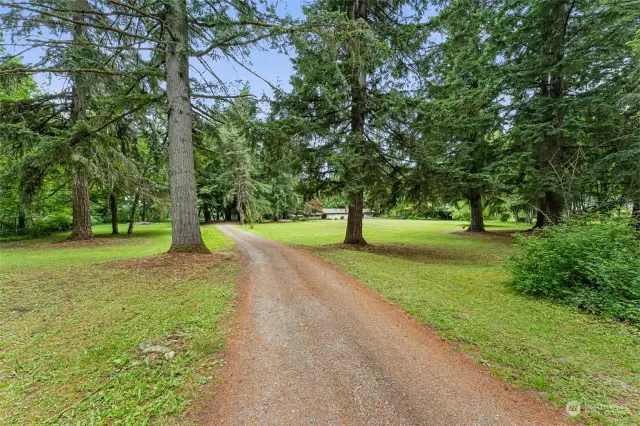 Long, Private Driveway Leading to Your Own Oasis!