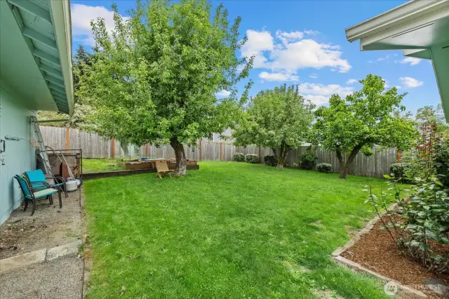 Beautiful backyard with fruit trees and garden space.