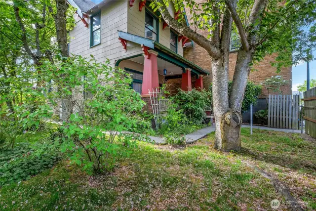 Side view of the Front Porch with Cherry Blossoms scattered around!
