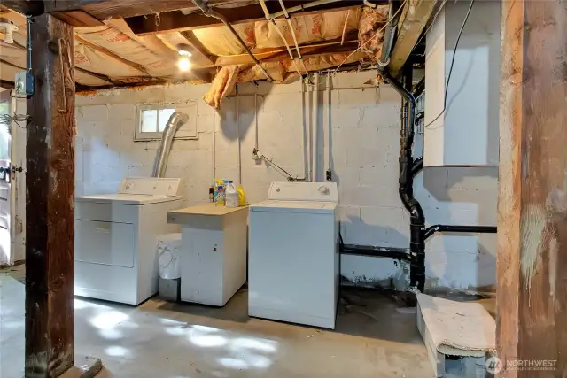 Shared Laundry area in the basement.