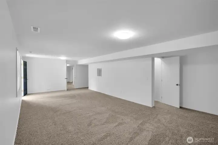 Lower level Great Room