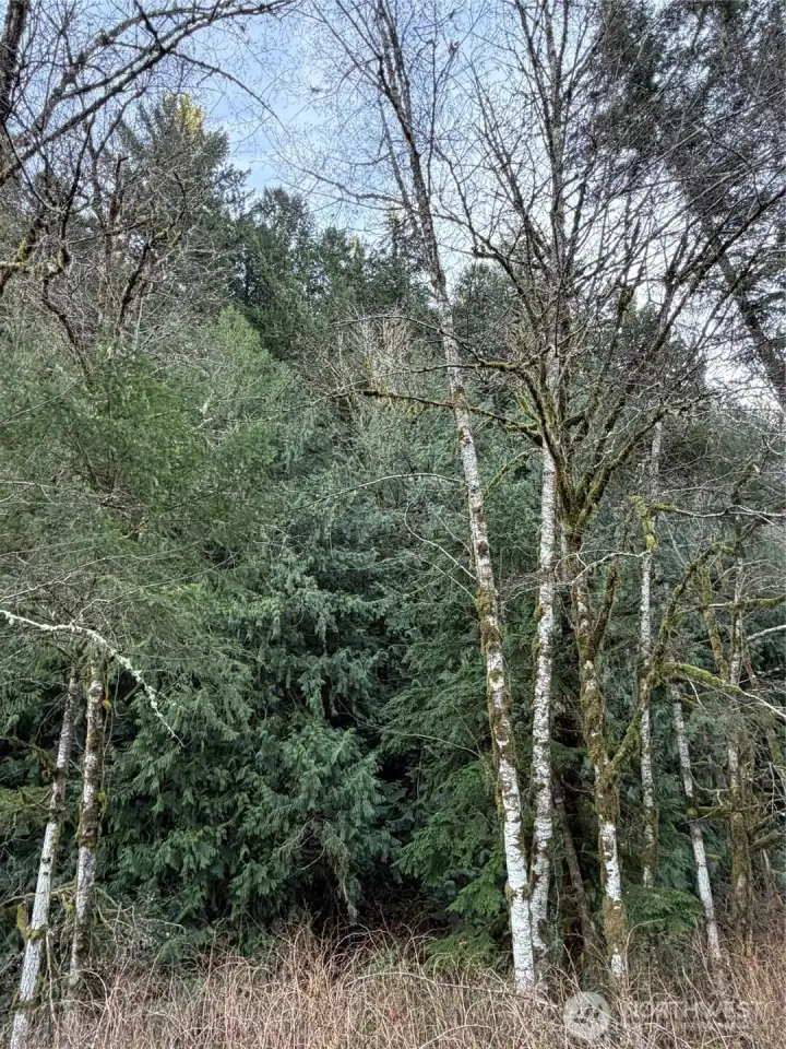 north end of property