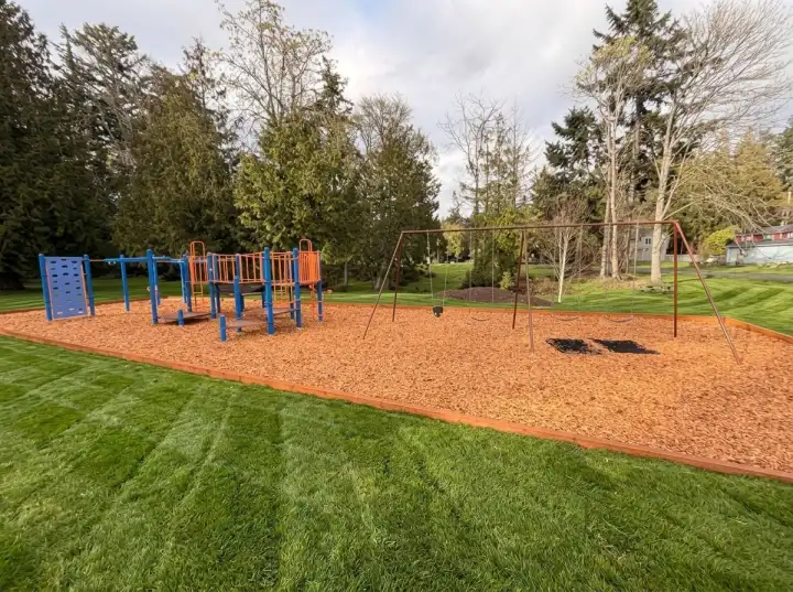 Wonderful play area and swingset at the park